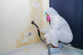 Best Asbestos and Lead Testing During Mold Inspection  in West Point, GA